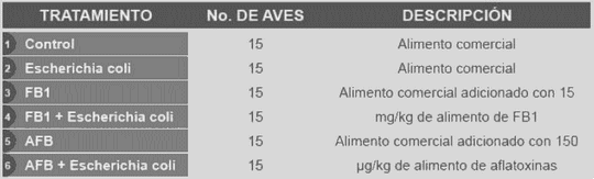 Evaluación del efecto de Fumonisinas (FB1) y Aflatoxinas (AFB) sobre hemograma, enzimas hepáticas y colesterol en pollos de engorda desafiados con una cepa entero - invasiva de Escherichia coli - Image 1