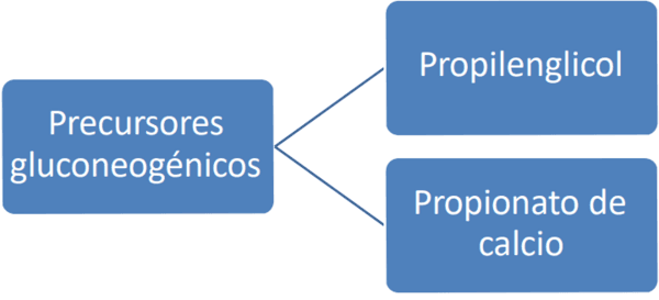 Respuesta productiva de la gallina de postura a la adición de una mezcla de propilenglicol y de propionato - Image 7