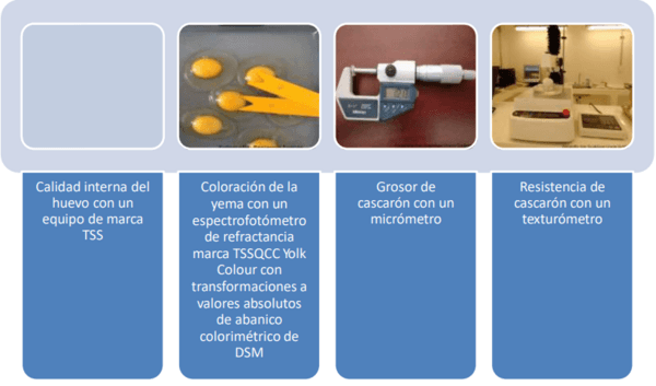 Respuesta productiva de la gallina de postura a la adición de una mezcla de propilenglicol y de propionato - Image 20