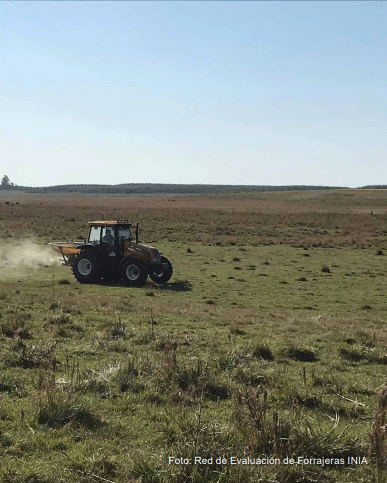 Figura 5 - Fertilización fosfatada sobre campo natural. Red de Evaluación Participativa de Forrajeras INIA.