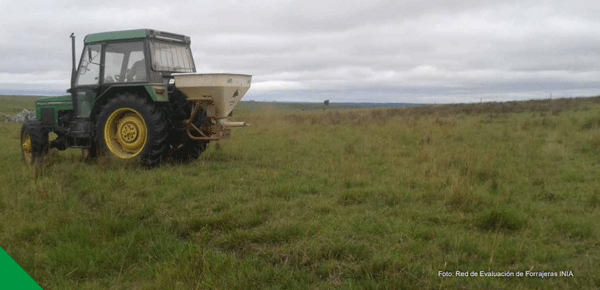 ¿FERTILIZAR EL CAMPO NATURAL CON FÓSFORO?