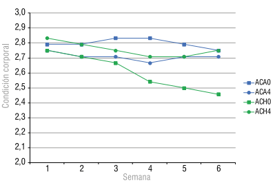 Figura 2 - Variación de la condición corporal de los animales en cada tratamiento a lo largo de las once semanas de experimento.