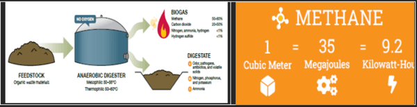 Producción de gas metano en una granja porcina - Image 3