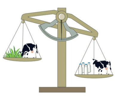 Figura 2: Representación del balance energético negativo en inicio de lactancia. Fuente: dairynz.co.nz/technote11/understand the transition cow