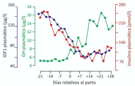 Figura 3: Desacople somatotrófico. Relación entre las concentraciones de IGF-1, GH e Insulina. Fuente: https://hdl.handle.net/11185/5626