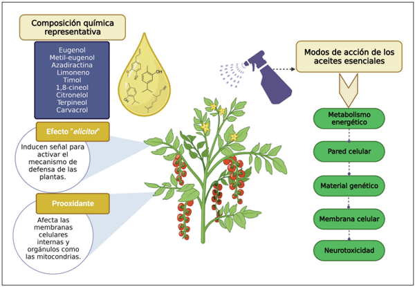 Figura 2. Principales mecanismos de acción de aceites esenciales en agricultura.