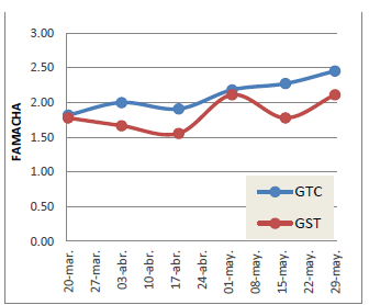 Figura 2. Escore de FAMACHA en promedio de los grupos suplementadas (GTC) o no (GST) con taninos por tratamiento.