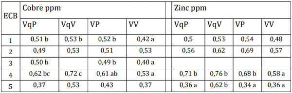 Tabla 7: Promedio de los valores séricos bovinos de cobre (Cu) y zinc (Zn) en los establecimientos de cría bovino (ECB). Grupo de vaquillonas de 1er parto preñadas (VqP) y grupo de vacías (VqV), grupo de vacas multíparas preñadas (VP) y grupo de vacías (VV) en los establecimientos de cría bovina (ECB). Medias con una letra en común no son significativamente diferentes (p< 0,05) 