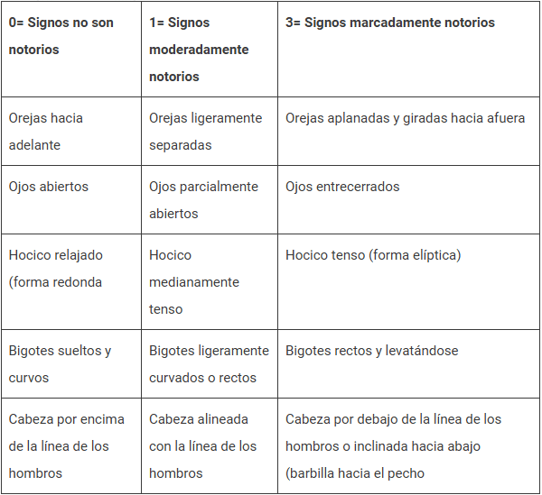 Guía rápida para el manejo del dolor en perros y gatos - Image 4