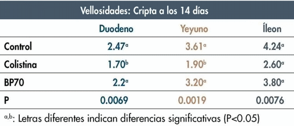 Cómo mejorar la conversión con antibióticos y alternativas no medicamentosas - Image 1