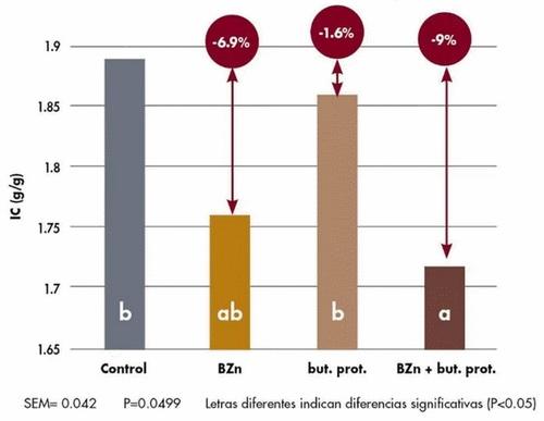 Cómo mejorar la conversión con antibióticos y alternativas no medicamentosas - Image 2