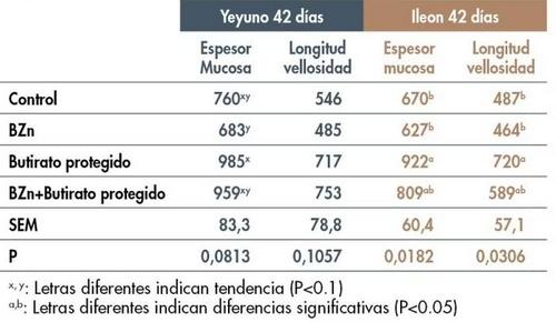 Cómo mejorar la conversión con antibióticos y alternativas no medicamentosas - Image 4