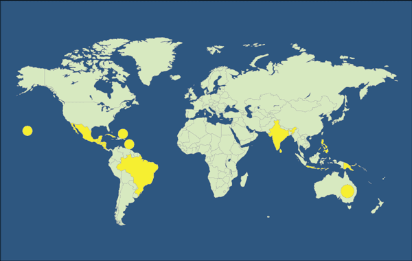 “Chaetanaphothrips signipennis” Distribución geográfica de la plaga e Impacto económico - Image 1