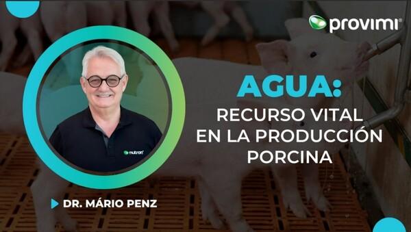 Los 3 pilares fundamentales del agua en la producción porcina - Image 2