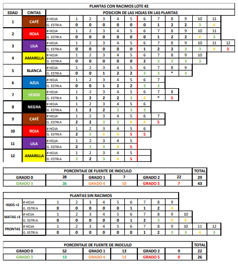 EJEMPLO DE EVALUACIÓN