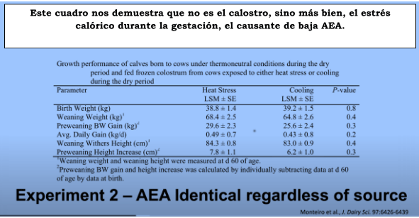 Este cuadro nos demuestra que no es el calostro, sino más bien, el estrés calórico durante la gestación, el causante de baja AEA.