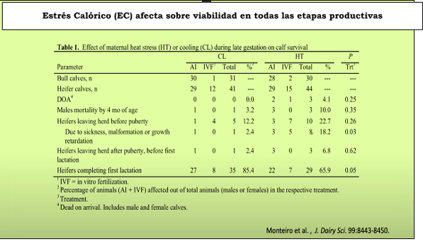 Estrés Calórico (EC) afecta sobre viabilidad en todas las etapas productivas