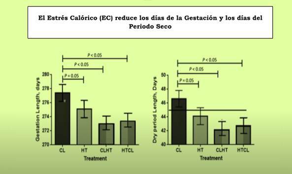 Duración de la gestación