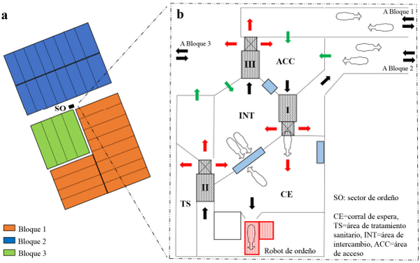 Figura 4. Esquema general de un tambo robótico de base pastoril. (a) Vista general del tambo dividido en tres bloques de pastoreo (1, 2 y 3). La ubicación del sector de ordeño (SO) se identifica con el recuadro negro. Cada bloque (1, 2 y 3) está subdividido, a su vez, en potreros y parcelas. (b) Detalle del sector de ordeño del tambo robótico con piso de cemento. Se pueden observar las tres tranqueras inteligentes (áreas grises con números romanos I, II y III), los bebederos (áreas celestes) y el robot ordeñador (área roja). Se indica el sentido de circulación de los animales (flechas negras) y las opciones de movimiento al pasar por las tranqueras inteligentes I, II o III (flechas rojas). Se indica también el ingreso a los sectores por tranqueras de un único sentido (flechas verdes) a donde los animales pueden ingresar, pero no salir por la misma tranquera. CE=corral de espera, TS= área de tratamiento sanitario, INT= área de intercambio, ACC= área de acceso.