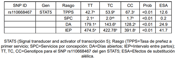 Tabla 1 Valores promedio para rasgos reproductivos de acuerdo a los genotipos del SNP del gen STAT5 y efecto de substitución alélica