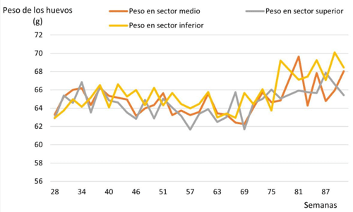 Figura 15. Peso de huevo según nivel del aviario de la semana 28 a 91.