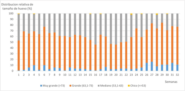 Figura 16. Distribución relativa de huevos muy grandes, grandes, medianos y chicos a lo largo de las semanas 28 a 91.