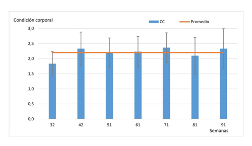 Figura 7. Condición corporal de las gallinas de la semana 32 a la 91 del ciclo de postura según escala de 0 a 3.