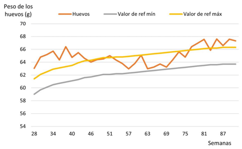 Figura 14. Peso de huevo registrado en el aviario de la semana 28 a 91 y valores de referencia máximos y mínimos indicados en la Hy-Line International (2016).