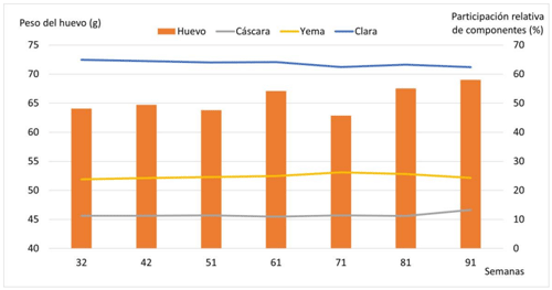 Figura 18. Peso del huevo (g) y participación relativa de sus componentes, cáscara, clara y yema (%) a lo largo de las semanas 32 a 91.