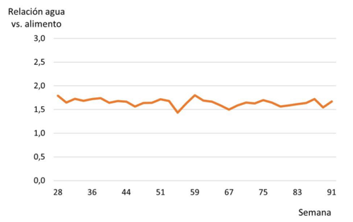 Figura 11. Relación entre el consumo de agua y alimento registrado en el aviario de la semana 28 a la 91 del ciclo de postura.