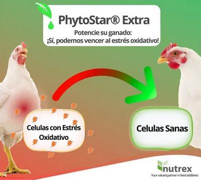 Estrés oxidativo en los animales, Cómo ayudarlos - Image 1