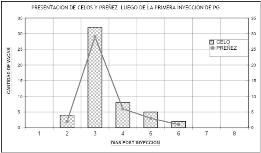 GRAFICO N°3