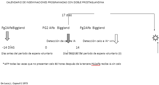 USOS Y TRABAJOS SOBRE PROSTAGLANDINAS DESDE 1971 HASTA LA FECHA - Image 2