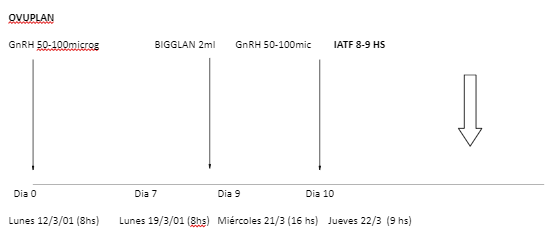 USOS Y TRABAJOS SOBRE PROSTAGLANDINAS DESDE 1971 HASTA LA FECHA - Image 2