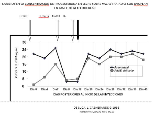 GRAFICO N°6 CAMBIOS EN LA CONCENTRACION DE PROGESTERONA EN LECHE SOBRE VACAS TRATADAS CON OVUPLAN EN FASE LUTEAL O FOLICULAR