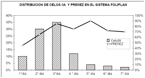 GRAFICO N° 5