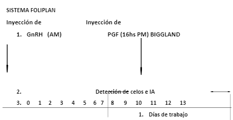 figura n6