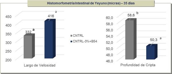 Evaluación del desempeño productivo e histomorfometría intestinal de pollos alimentados con dieta de baja energía-proteína y butirato de sodio bajo condiciones de desafío coccidial y cama reutilizada - Image 4