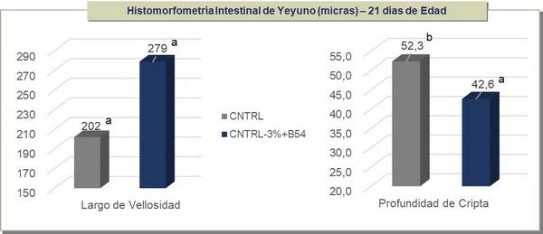 Evaluación del desempeño productivo e histomorfometría intestinal de pollos alimentados con dieta de baja energía-proteína y butirato de sodio bajo condiciones de desafío coccidial y cama reutilizada - Image 3