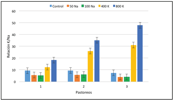 Figura 1. Interacción entre la fertilización con K o Na y el período de pastoreo sobre la relación K/Na en la pradera.