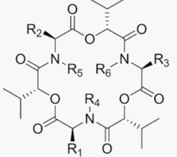 Las enniatinas, micotoxinas de interés emergente - Image 2