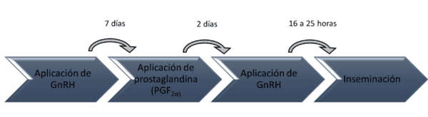 Síndrome de la vaca repetidora: Un problema multifactorial - Image 4