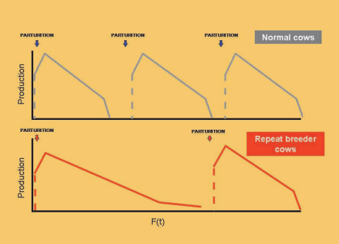 Síndrome de la vaca repetidora: Un problema multifactorial - Image 3