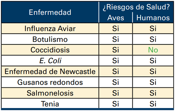 Figura 2. Riesgos de enfermedades asociados con las moscas.