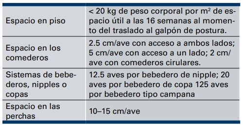 Manejo de Crianza para Reproductoras en Piso - Image 3