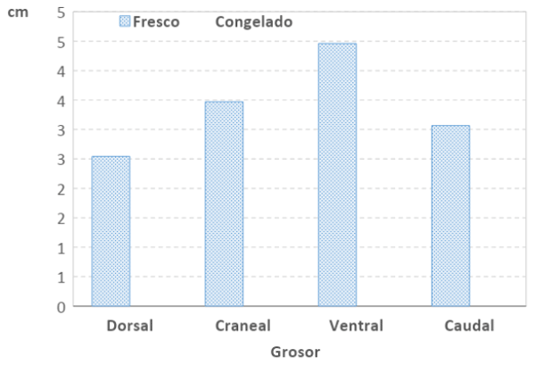 Figura 5. Grosor de la parte central de los lados de la panceta