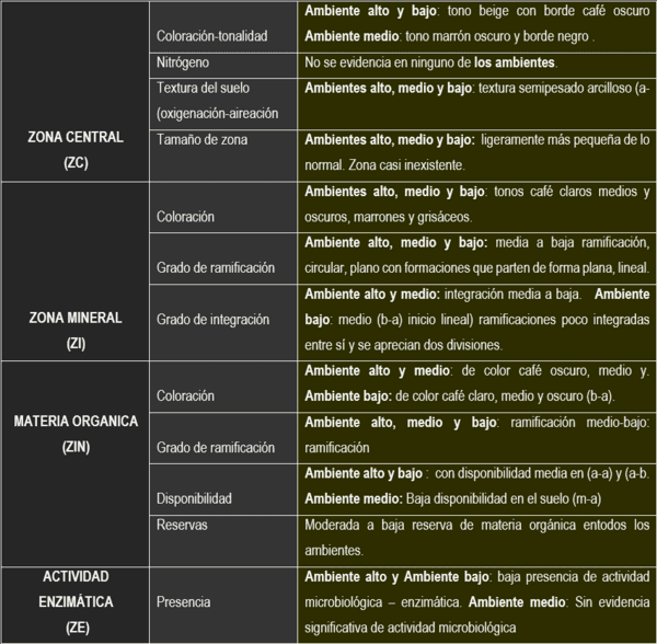 Las cromatografias herramienta de diagnostico de la calidad del suelo - Image 21