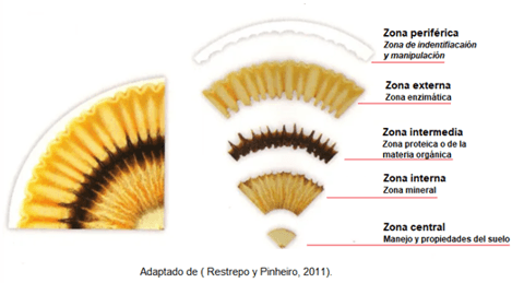 Las cromatografias herramienta de diagnostico de la calidad del suelo - Image 1