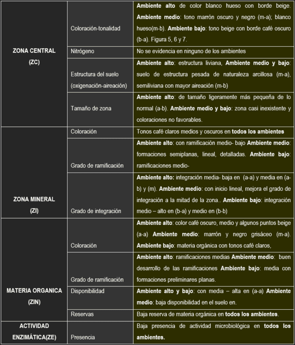 Las cromatografias herramienta de diagnostico de la calidad del suelo - Image 7