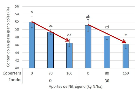 Figura 3.- Contenido en grasa (%) en el grano de colza en respuesta a dosis crecientes de nitrógeno, aplicado en fondo y en cobertora. La Tallada d’Empordà (Girona).